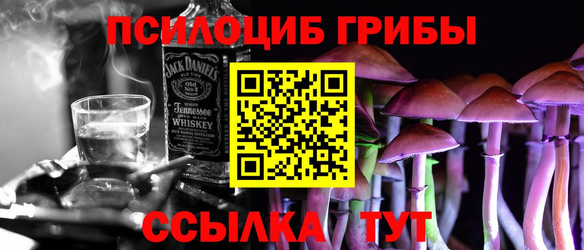 Псилоцибиновые грибы Psilocybine cubensis Архангельск